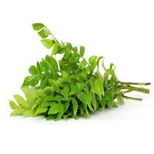 Curry leaves | කරපිංචා කොළ