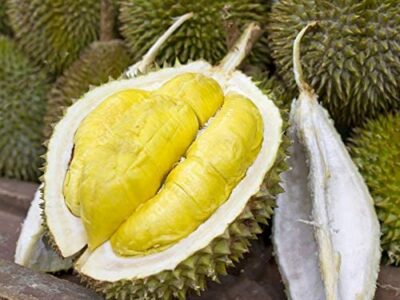 Durian | දූරියන්