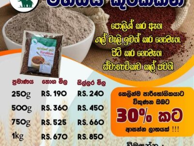 Kurakkan Seeds | කුරක්කන් බීජ