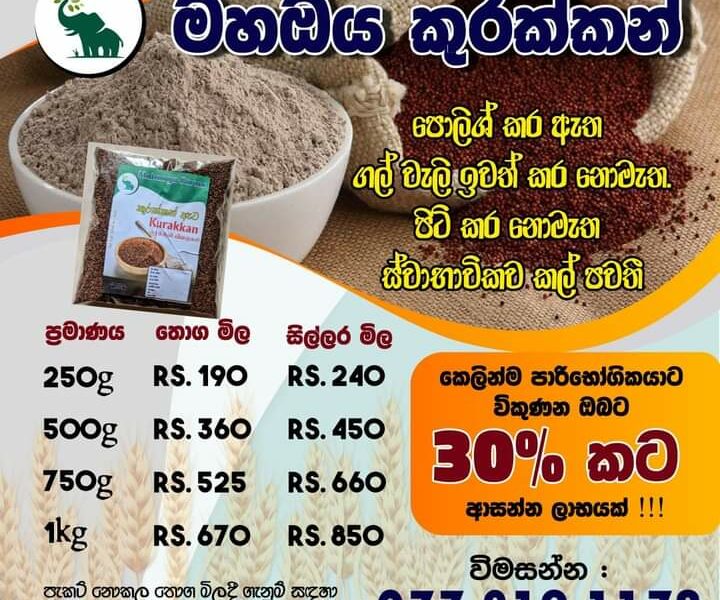 Kurakkan Seeds | කුරක්කන් බීජ