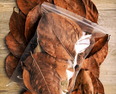 Dried Jackfruit Leaves | වියළි කොස් කොළ