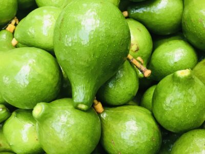 Avocado - අලිගැටපේර විකිණීමට ඇත