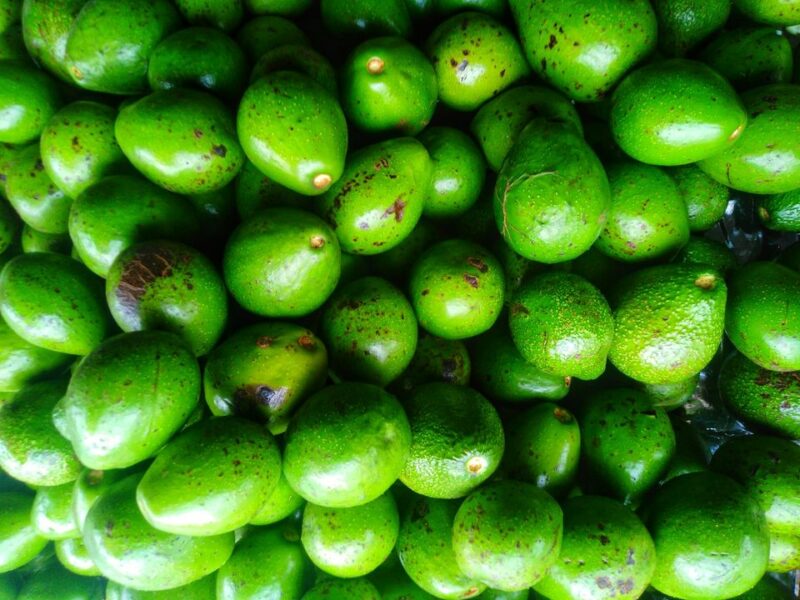 Avocado - අලිගැටපේර විකිණීමට ඇත