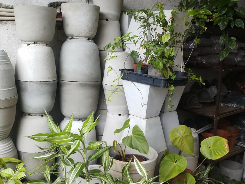 Mount Lavinia Garden Shop