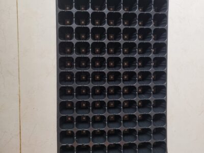 Plant seeding tray 105 halls| පැළ තවාන් තැටි