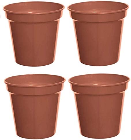 Flower pots | මල් පෝච්චි