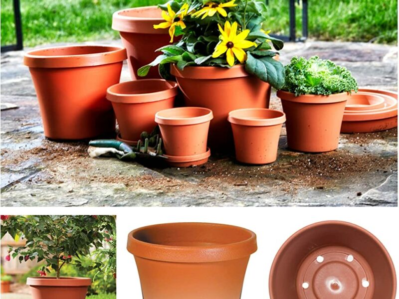 Flower pots | මල් පෝච්චි