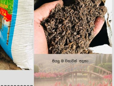 Chicken Manure | කුකුළු පොහොර