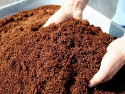 Cocopeat | කොහුබත්